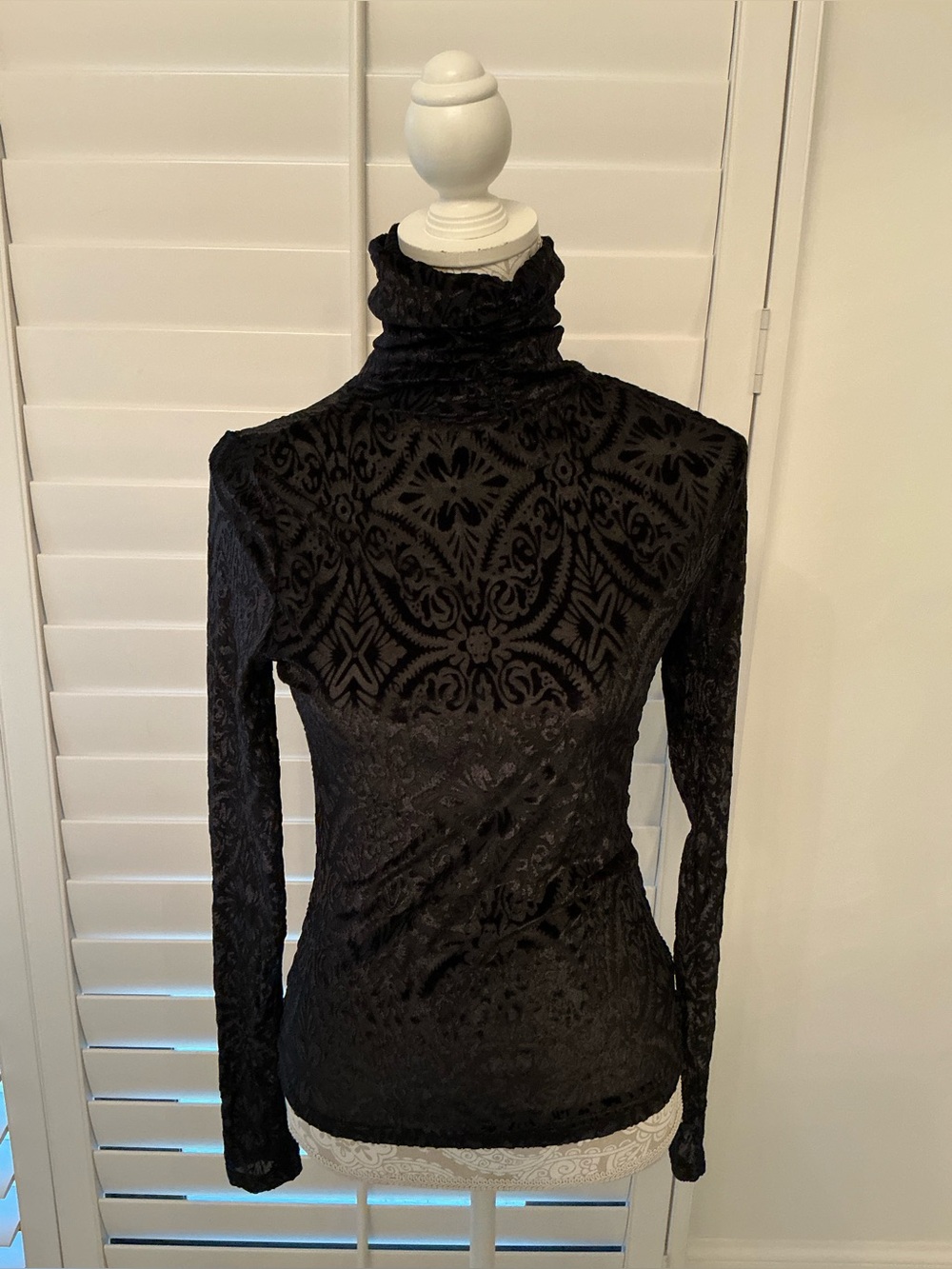 Vici Black Velvet Burnout Turtleneck Long Sleeve Top